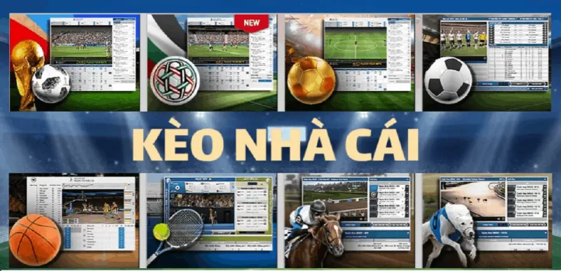 Chiến lược chơi kèo nhà cái tại 12bet